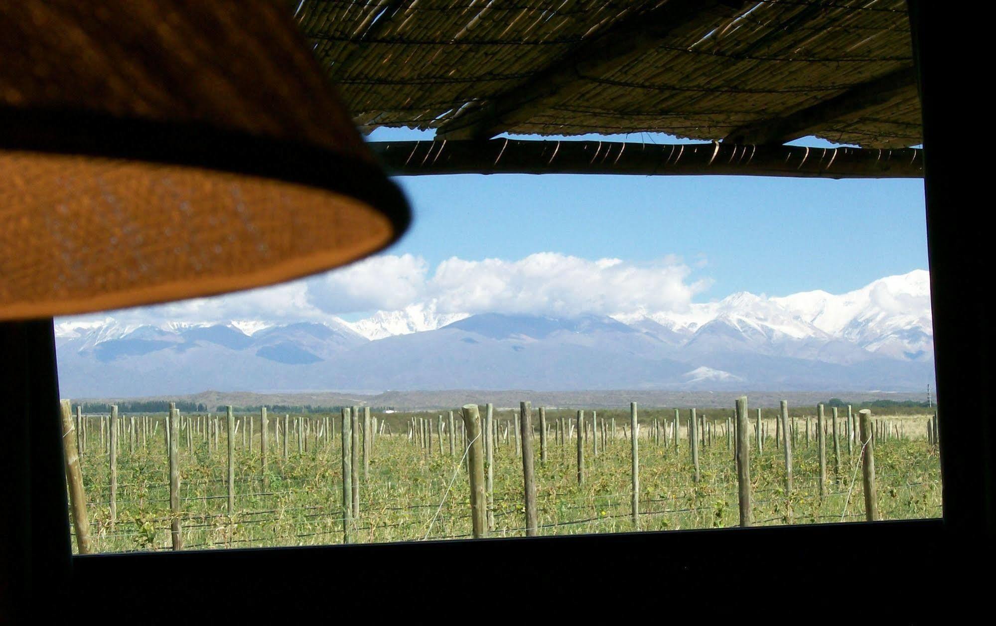 Villa Tupungato Divino Exterior foto